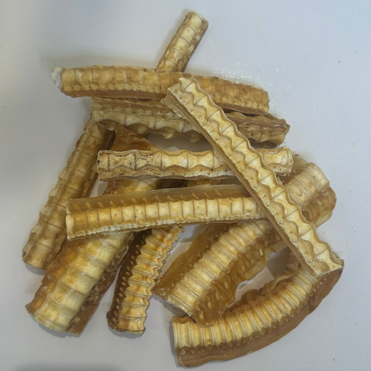 Medium Shark Cartilage