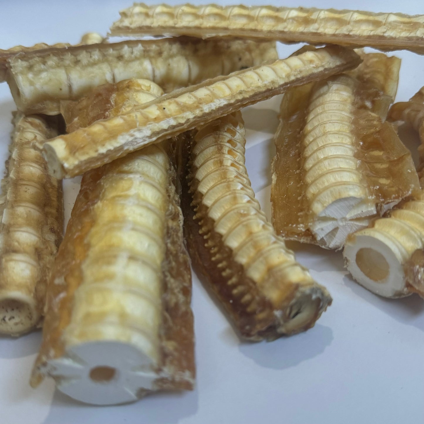 Medium Shark Cartilage