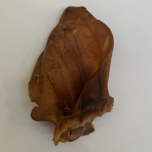 Pig Ears with Lobes